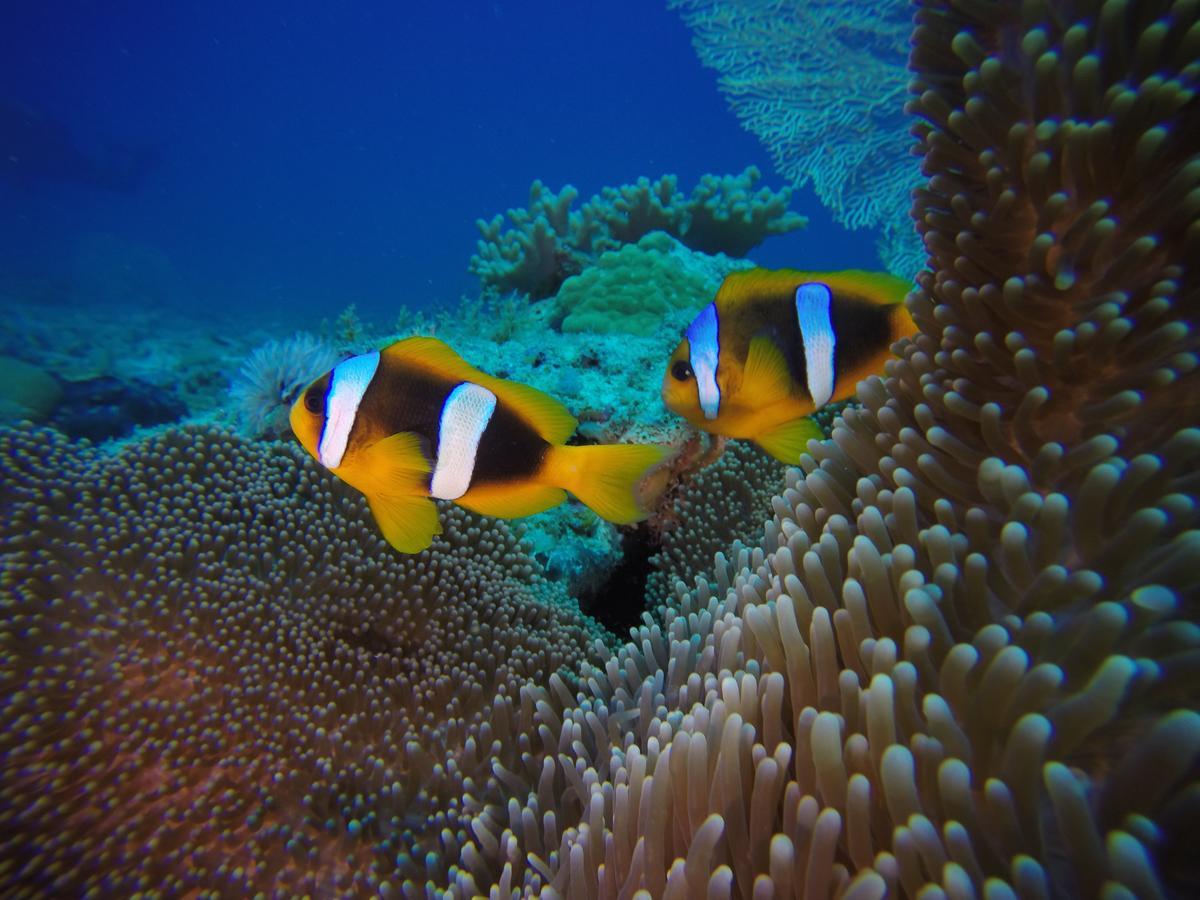 Sakatia Lodge Ampasimena ภายนอก รูปภาพ